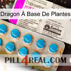 Dragon À Base De Plantes new07